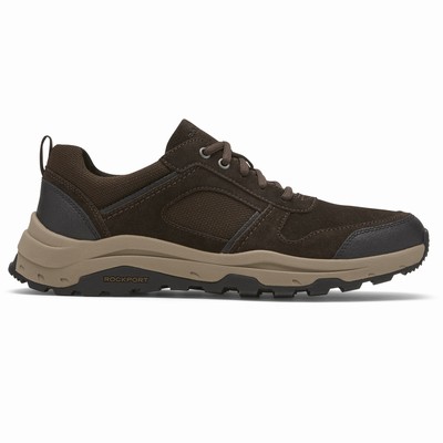 Rockport XCS Birchfield Ubal Trekker Turnschuhe Herren Braun / Blau DQG-490526